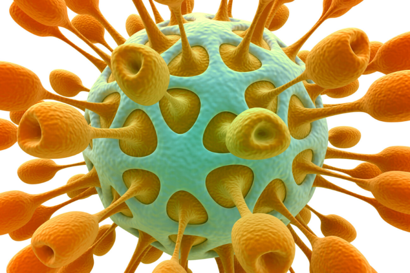 15 Perguntas frequentes sobre o Coronavírus
